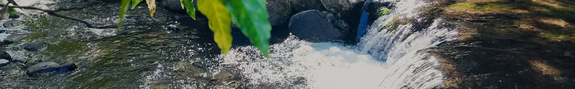 下層ページタイトルヘッダー